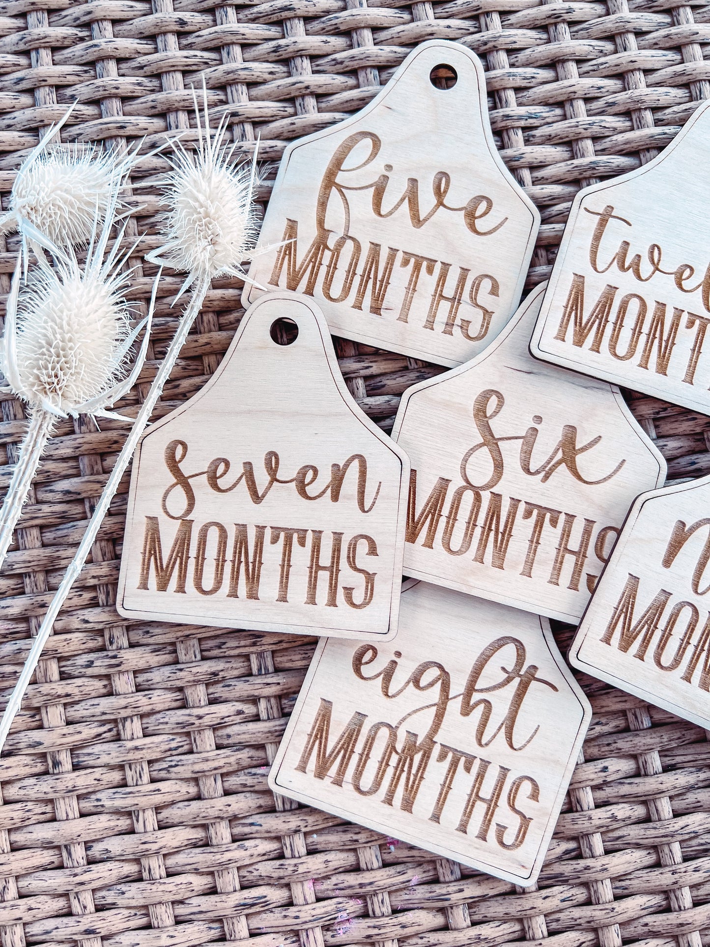 Country Babe Milestones