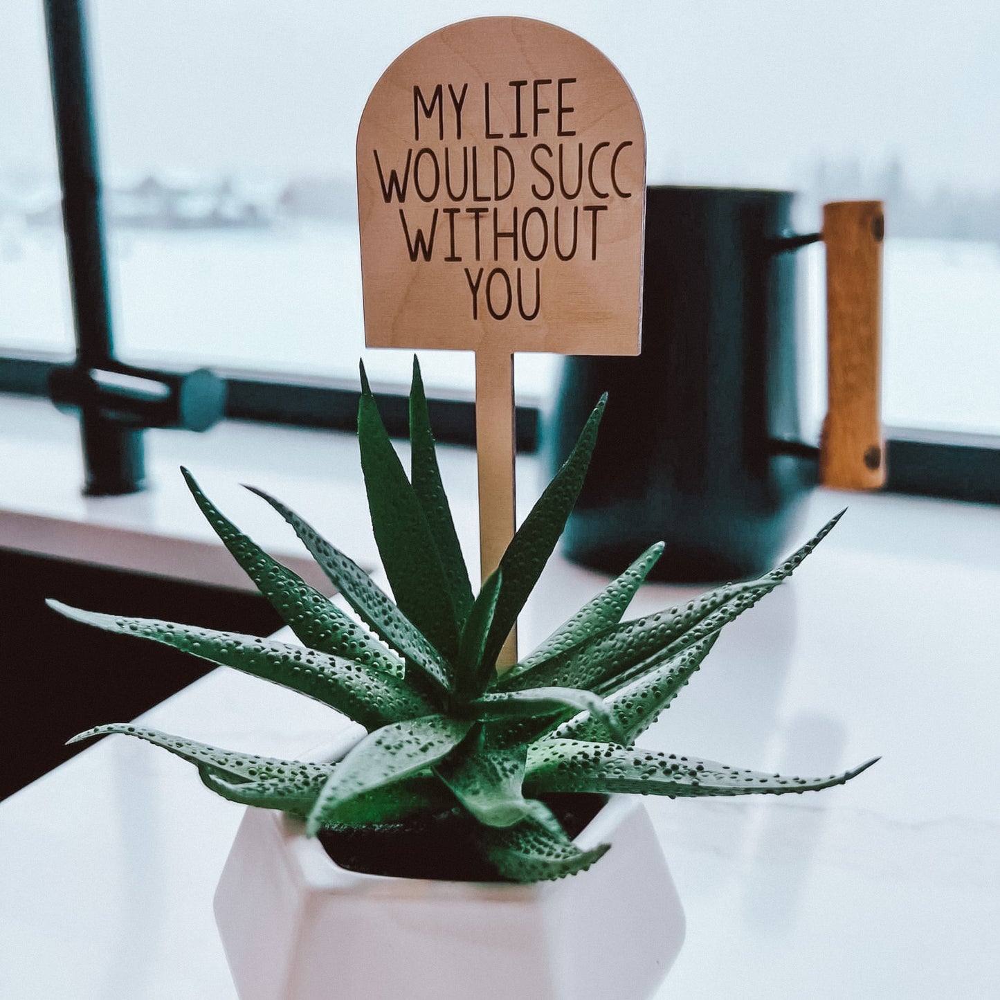 Life would succ