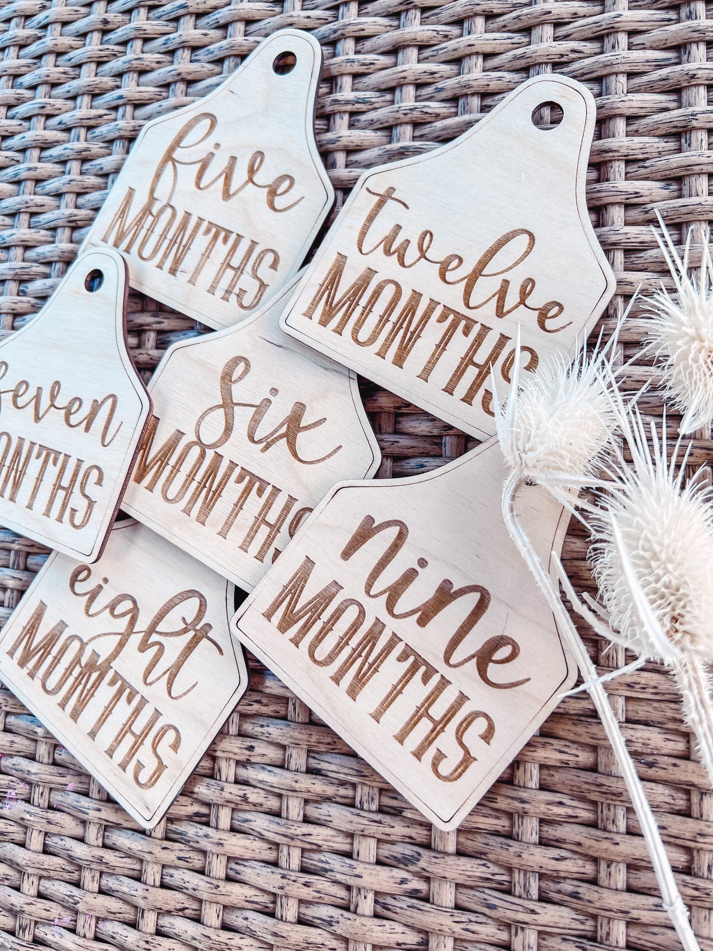 Country Babe Milestones