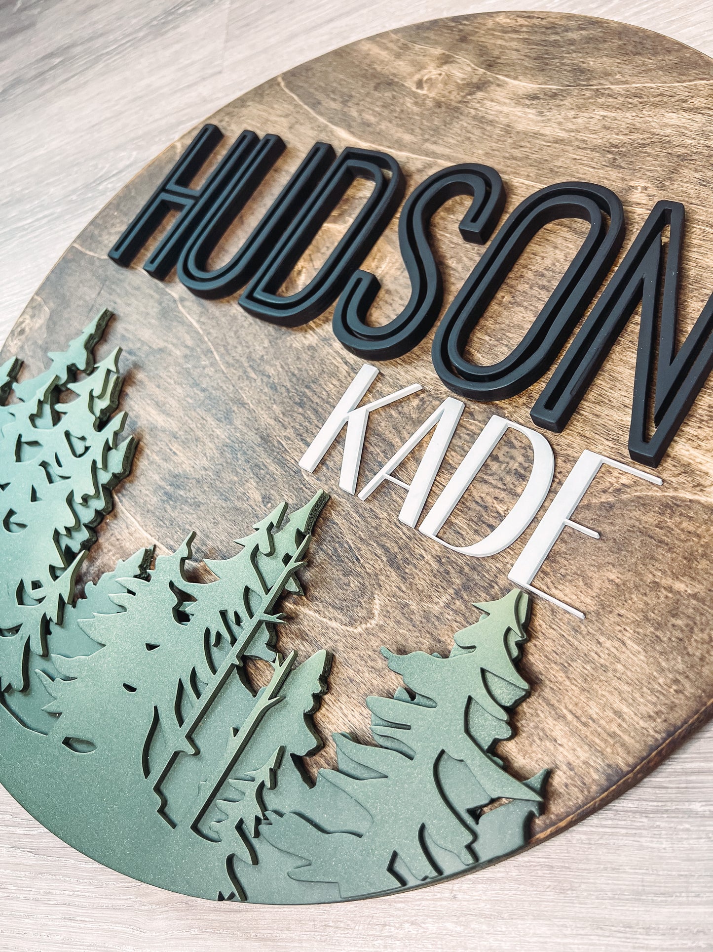 The Hudson