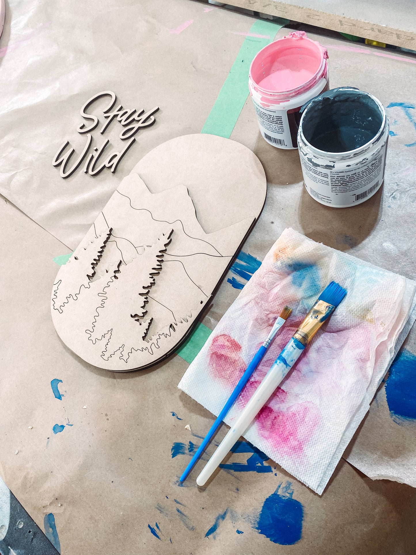 Stay Wild DIY Paint kit